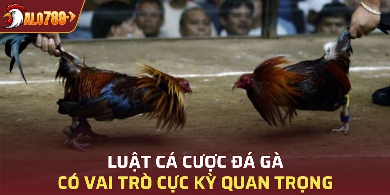 Luật trong cá cược mang tới vai trò quan trọng cho nhà cái và người chơi