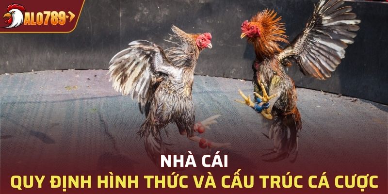 Quy định hình thức cược chọi gà sẽ được nhà cái đưa ra cụ thể