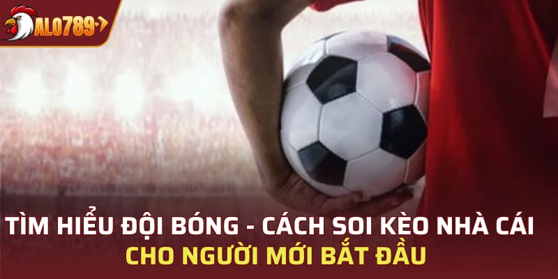 Tìm hiểu đội bóng - Cách soi kèo nhà cái cho người mới bắt đầu