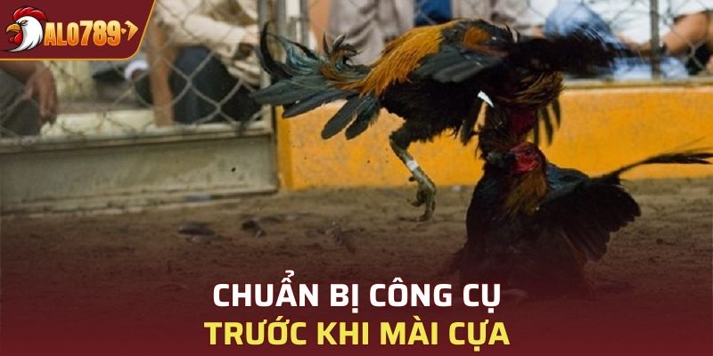 Chuẩn bị công cụ trước khi mài cựa