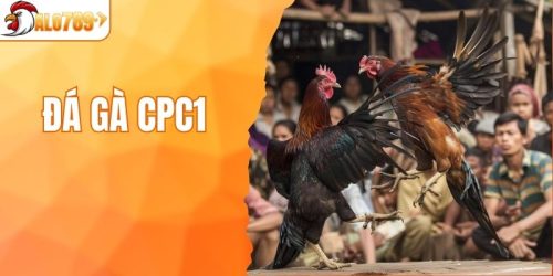 đá gà CPC1