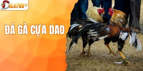 đá gà cựa dao
