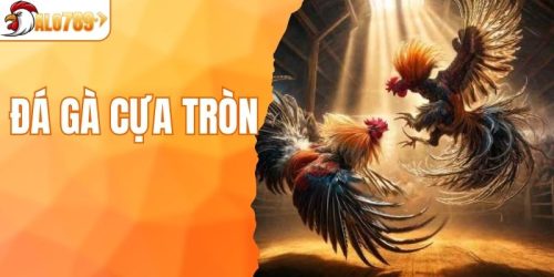 Đá gà cựa tròn