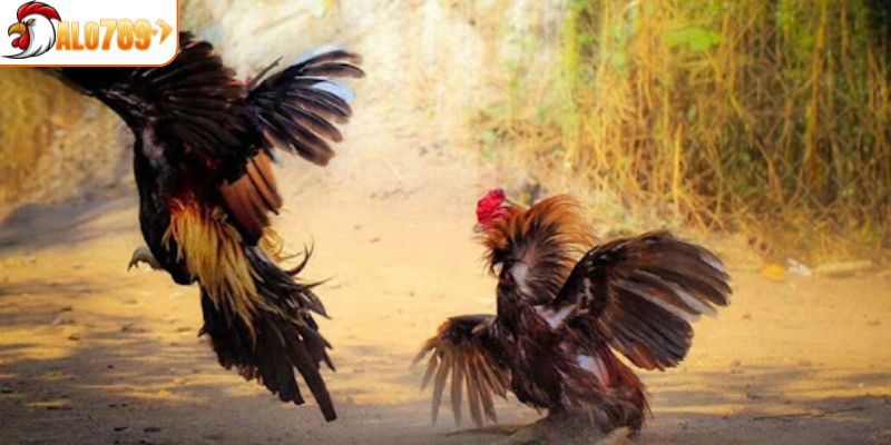 Hệ thống cung cấp tỷ lệ trả thưởng cực kỳ cao 