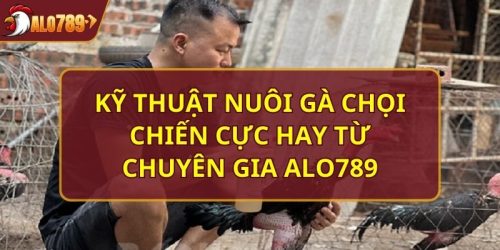 Kỹ thuật nuôi gà chọi chiến