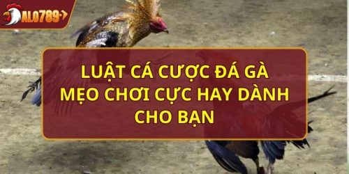 luật cá cược đá gà