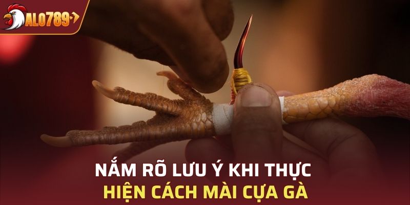 Nắm rõ lưu ý khi thực hiện cách mài cựa gà