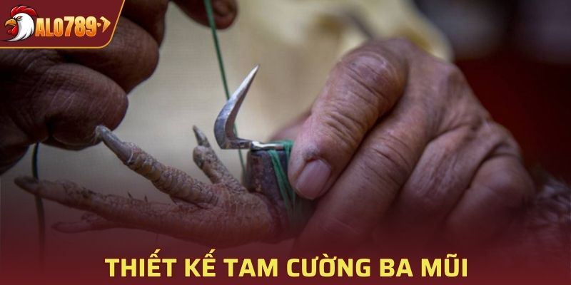 Thiết kế Tam Cường ba mũi