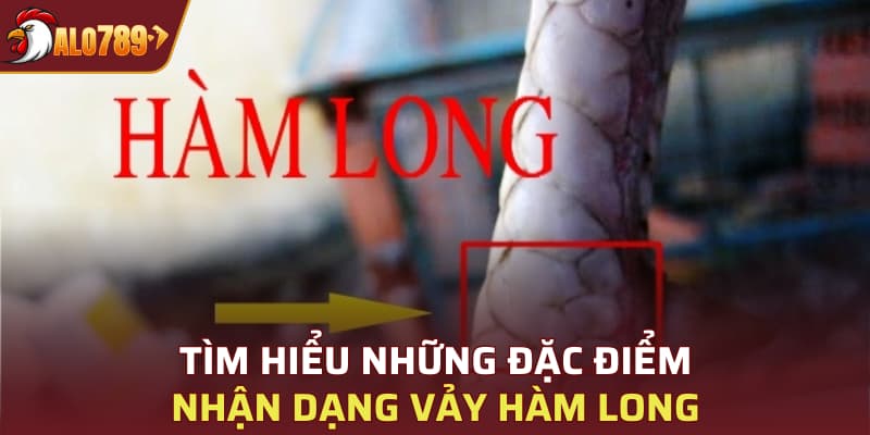 Tìm hiểu những đặc điểm nhận dạng vảy Hàm Long