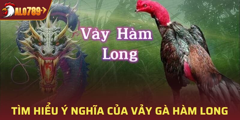 Tìm hiểu ý nghĩa của vảy gà Hàm Long