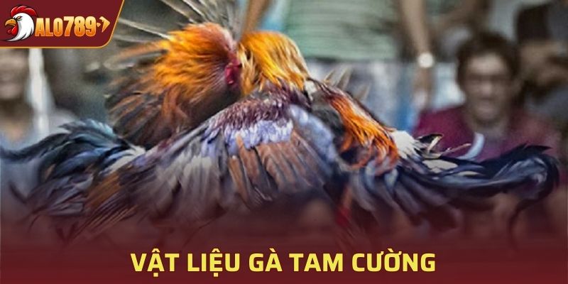 Vật liệu gà Tam Cường