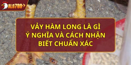 vảy Hàm Long